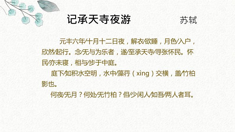 10 记承天寺夜游 课时课件 初中语文人教部编版八年级上册06