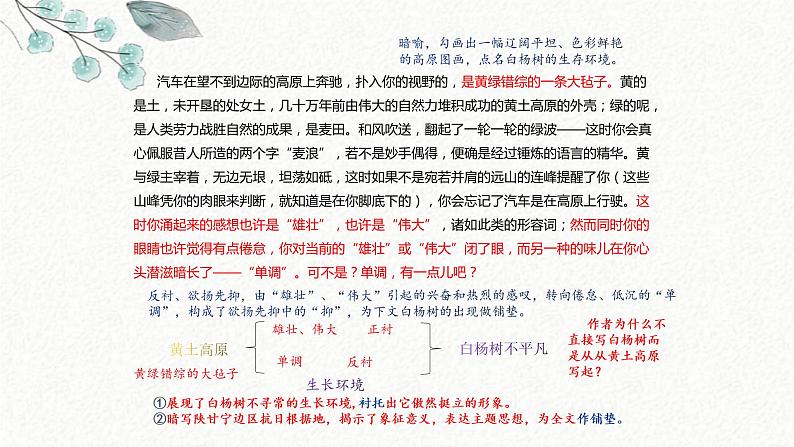 14 白杨礼赞 课时课件 初中语文人教部编版八年级上册08