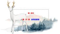 初中语文人教部编版七年级上册19 皇帝的新装背景图ppt课件