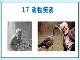 17 动物笑谈 课时课件 初中语文人教部编版（五四制）七年级上册