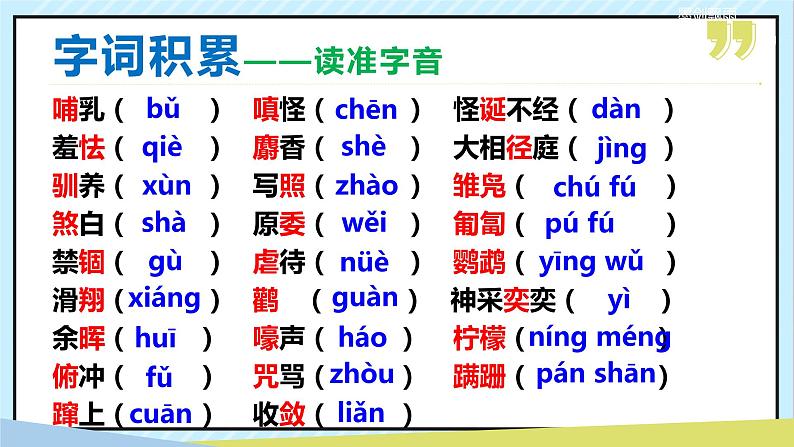 17 动物笑谈 课时课件 初中语文人教部编版（五四制）七年级上册08