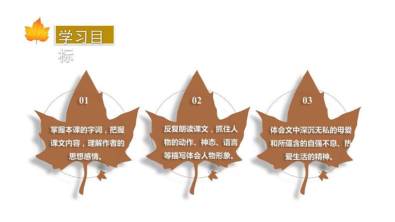 部编版七年级语文上册--第5课《秋天的怀念》课件第3页