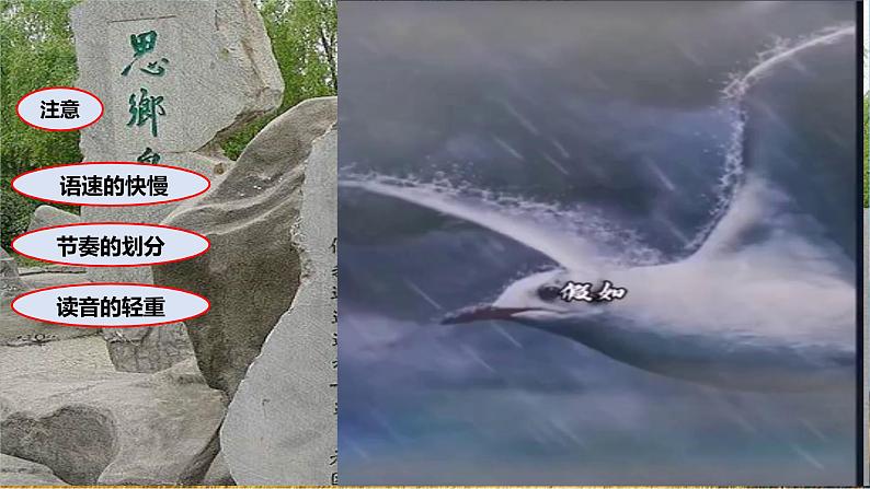 第3课《我爱这土地》（课件）-2022-2023学年九年级语文上册同步精品课堂（部编版）第6页