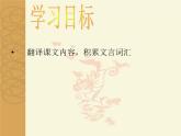初中语文部编版（2016）八年级上册第六单元  23《孟子》三章 生于忧患，死于安乐 课件