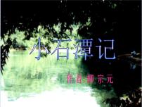 初中人教部编版10 小石潭记教学ppt课件