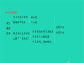 2022八年級語文下冊 第二單元 6 阿西莫夫短文兩篇習(xí)題課件 新人教版