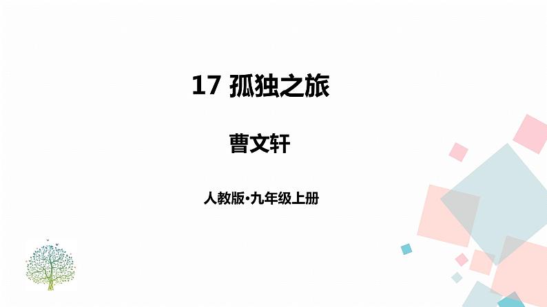 17孤独之旅第1页