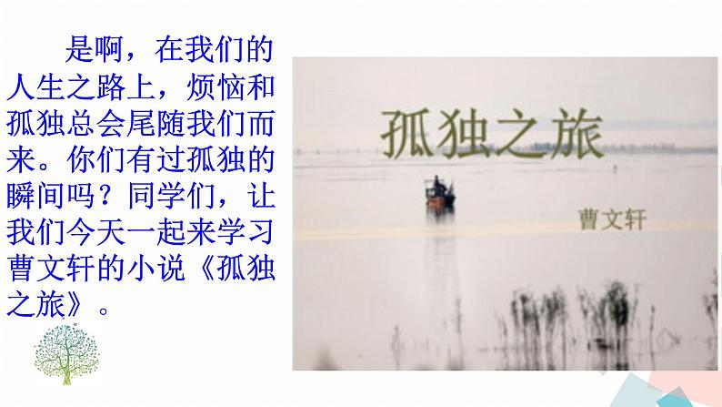 17孤独之旅第7页