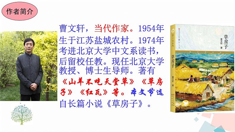 17孤独之旅第8页