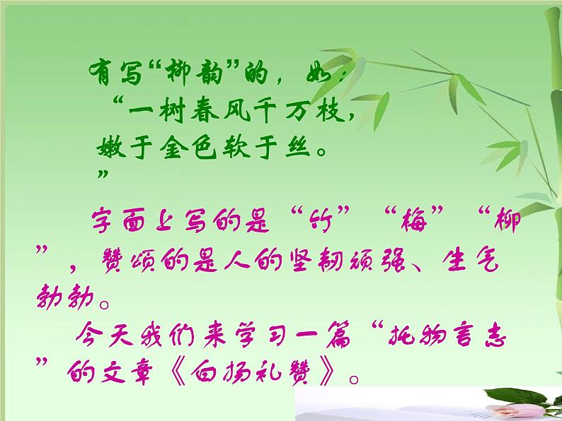 第15课《白杨礼赞》教学课件-2022-2023学年部编版八年级语文上册04