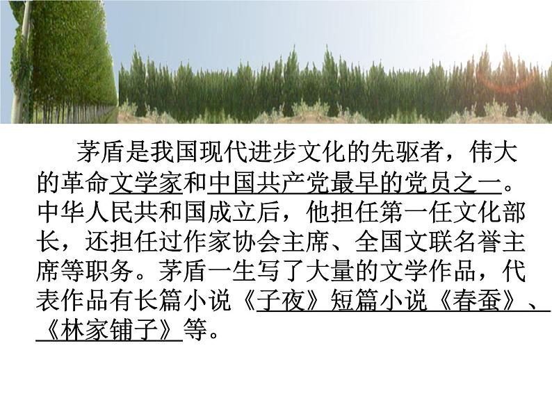 第15课《白杨礼赞》教学课件-2022-2023学年部编版八年级语文上册08