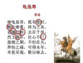 2 龟虽寿课件