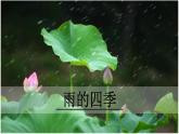 第3课《雨的四季》课件（共40页）2022-2023学年部编版语文七年级上册