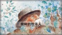 初中语文人教部编版七年级上册13 植树的牧羊人集体备课ppt课件