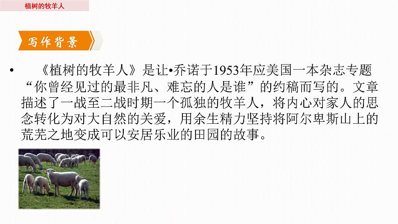 第十三课《植树的牧羊人》 导学案课件（共36张PPT）2022-2023学年部编版语文七年级上册04