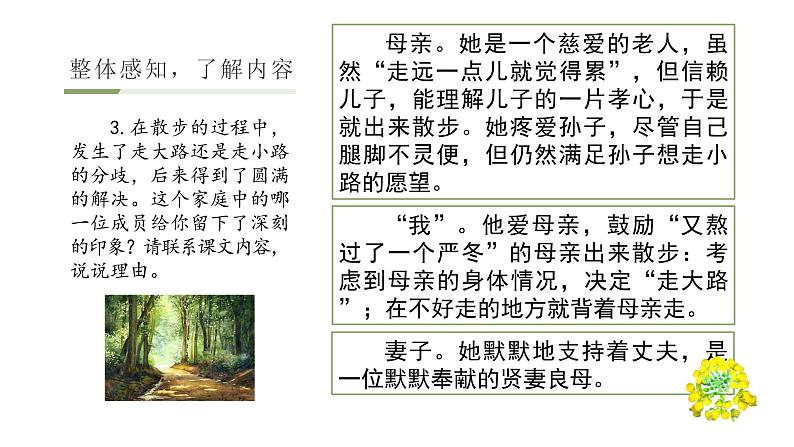 部编版七年级语文上册-- 6 散步 课件第7页