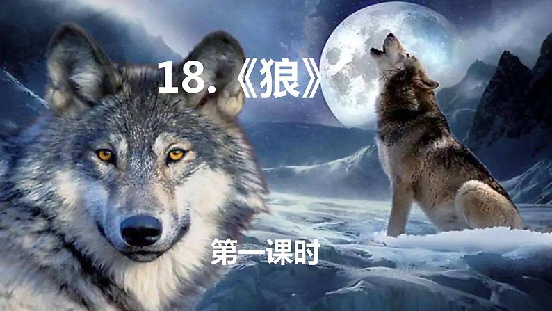 部编版七年级语文上册--册第18课《狼》课件01