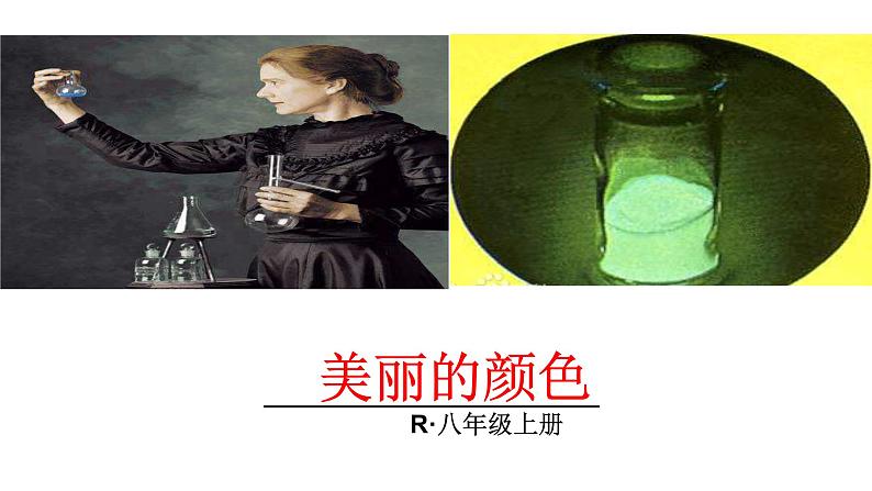 部编版语文八年级上册--9 《美丽的颜色》课件02