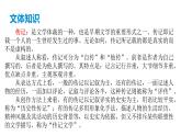 部编版语文八年级上册--9 《美丽的颜色》课件