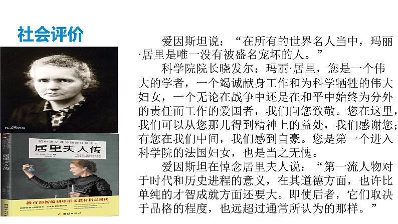 部编版语文八年级上册--9 《美丽的颜色》课件08