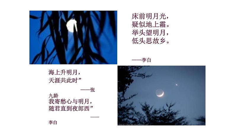 部编版语文八年级上册--11 《记承天寺夜游》课件01