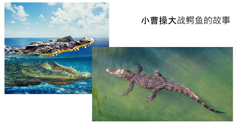 第4课《古代诗歌四首——观沧海》课件（共28张PPT） 2022—2023学年部编版语文七年级上册第3页