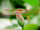 部编语文八上第三单元写作：学习描写景物同步教案+课件