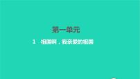 初中语文人教部编版九年级下册1 祖国啊，我亲爱的祖国习题课件ppt