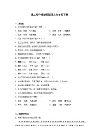 第三周作业部编版语文九年级下册