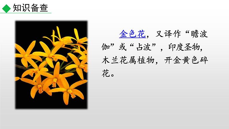 部编版七年级语文上册--7 散文诗二首-课件第6页