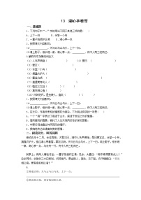 人教部编版九年级上册13* 湖心亭看雪随堂练习题