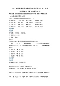精品解析：2022辽宁省铁岭葫芦岛中考语文真题（解析版）