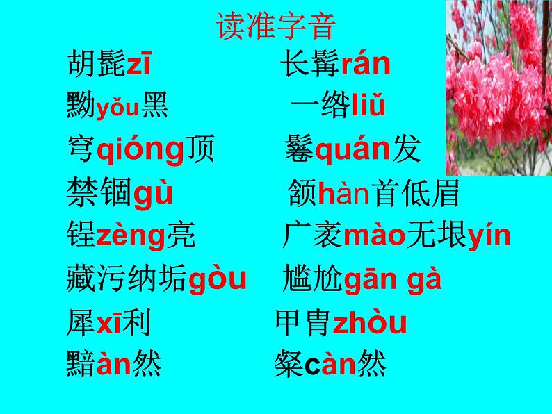 人教部编版八年级上册《列夫·托尔斯泰》教学课件06