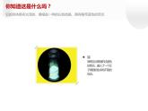 人教部编版八年级上册《美丽的颜色》教学课件
