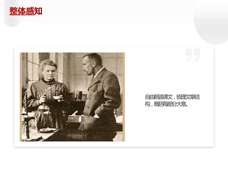 人教部编版八年级上册《美丽的颜色》教学课件07