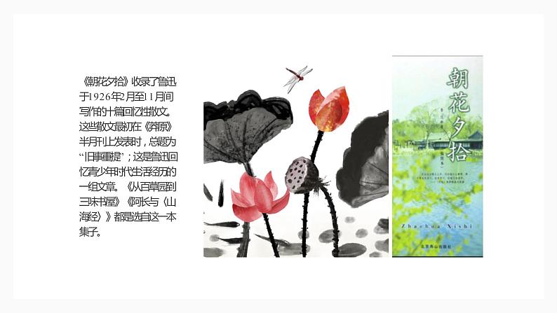 人教部编版八年级上册《藤野先生》教学课件第5页