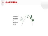 人教部编版八年级上册《列夫托尔斯泰》教学课件