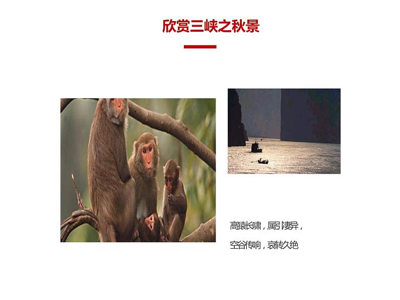 人教部编版八年级上册《三峡》教学课件04