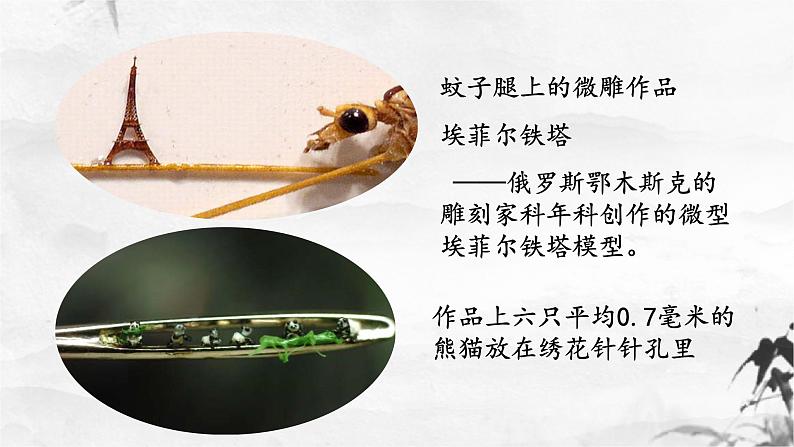 第11课《核舟记》课件（共48张PPT）2021—2022学年部编版语文八年级下册第6页