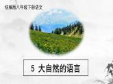 新人教部编版语文八下：第5课《大自然的语言》课件
