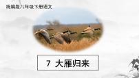 人教部编版八年级下册大雁归来完整版课件ppt