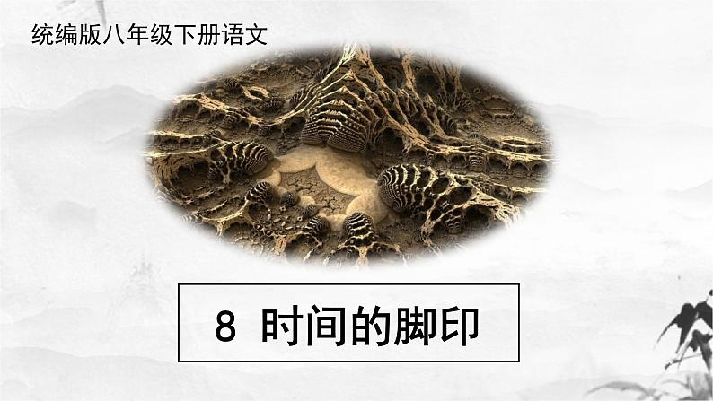 新人教部编版语文八下：第8课《时间的脚印》课件第1页