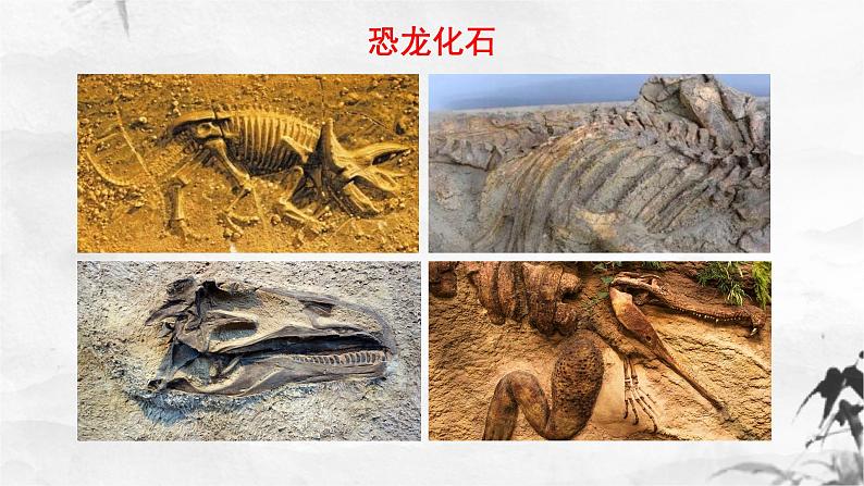 新人教部编版语文八下：第8课《时间的脚印》课件第4页