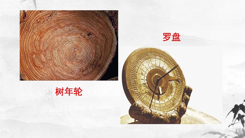 新人教部编版语文八下：第8课《时间的脚印》课件第6页