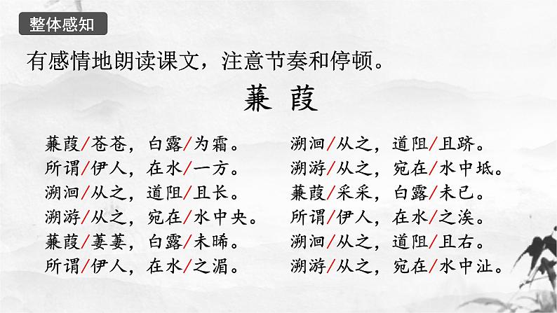 新人教部编版语文八下：第12课《诗经》二首-蒹葭 课件06
