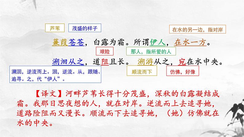 新人教部编版语文八下：第12课《诗经》二首-蒹葭 课件07
