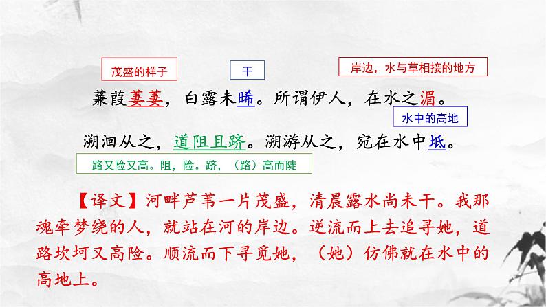 新人教部编版语文八下：第12课《诗经》二首-蒹葭 课件08