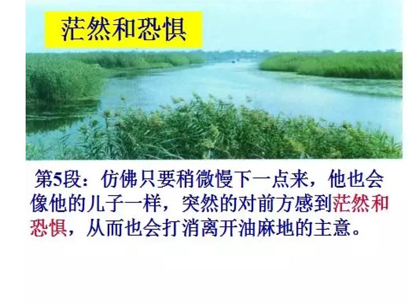 第17课《孤独之旅》课件（34张PPT）++2022-2023学年部编版语文九年级上册08