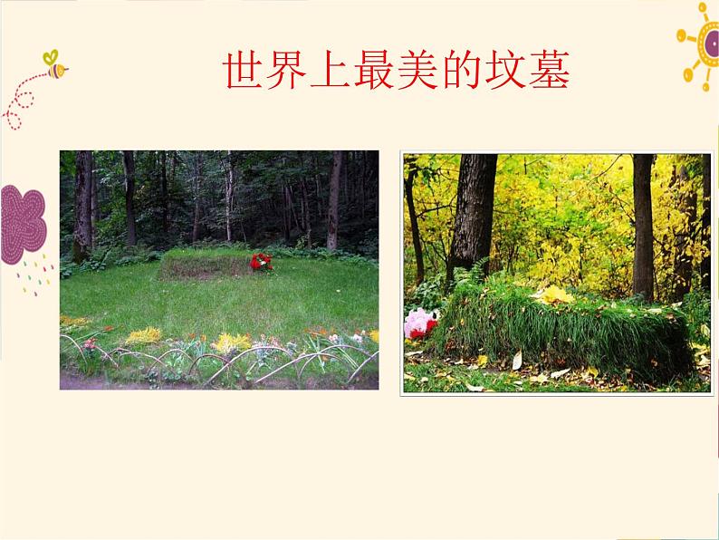 2022年部编版八年级上册《列夫托尔斯泰》课件01