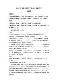 2022年安徽省中考语文真题（解析版）